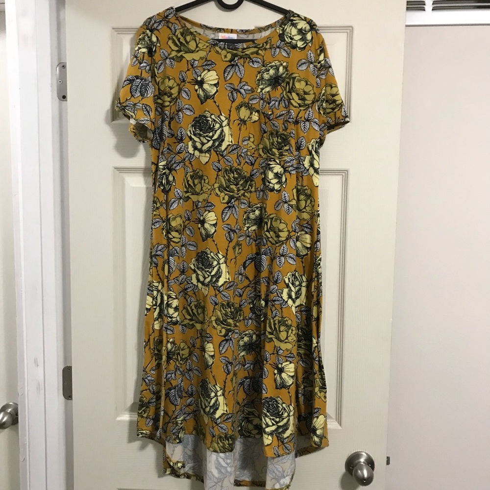 LuLaroe Carley